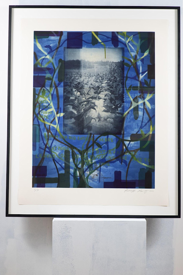 Tobacco Blues by Radcliffe Bailey