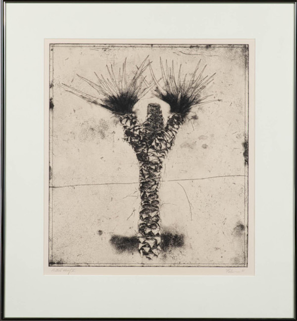 Yucca Tree by Mark Pelnar