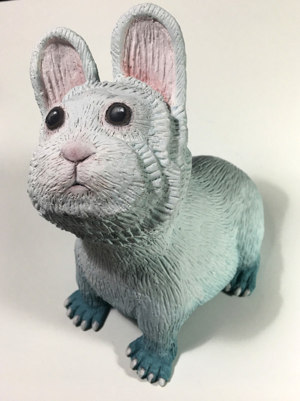 Magical Rabbit by Susan Silvester