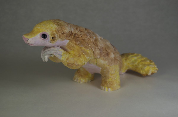 Pretty Pangolin by Susan Silvester
