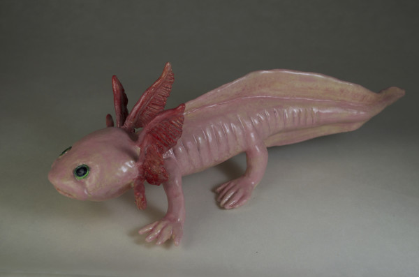 Little Axolotl by Susan Silvester