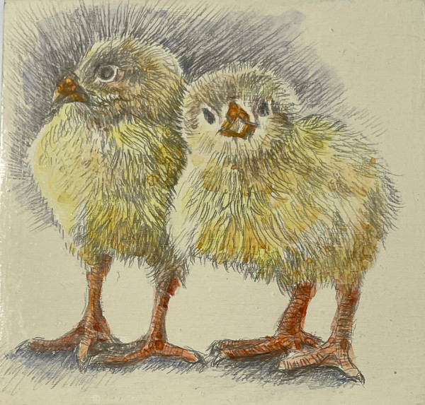 Two Chicks by Susan Silvester
