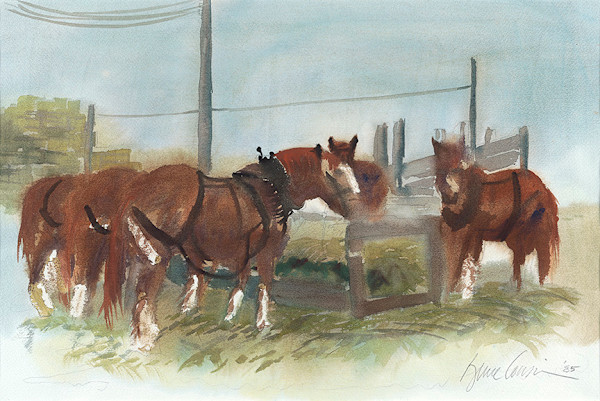 Let’s Eat by Bruce C. Cousins