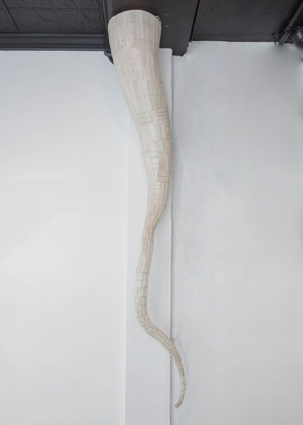 Tentacle by NANCY MINTZ