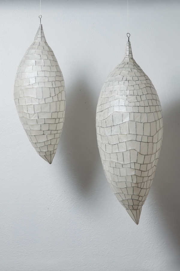 Pods by NANCY MINTZ