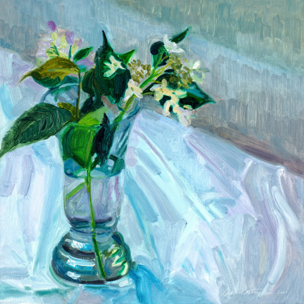 Two Kinds of Hydrangea by John Schmidtberger