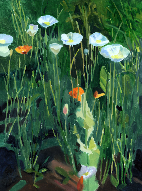 Community Garden Poppies 3 by John Schmidtberger