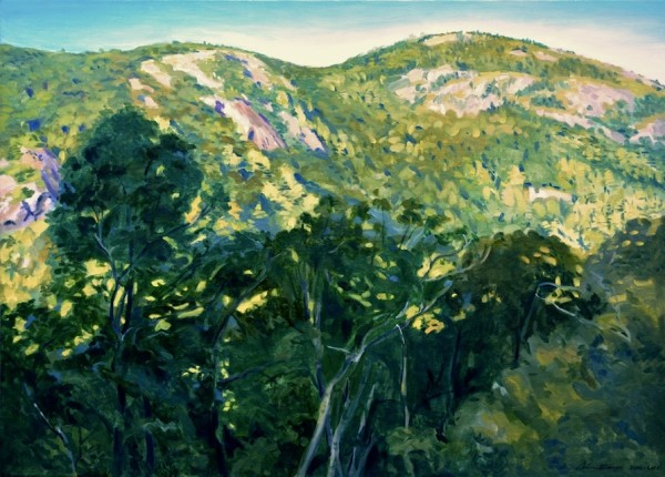 View of Bald Mountain from Ragged Mountain by John Schmidtberger