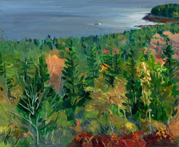 Pigeon Hill, Steuben, Maine #2 by John Schmidtberger