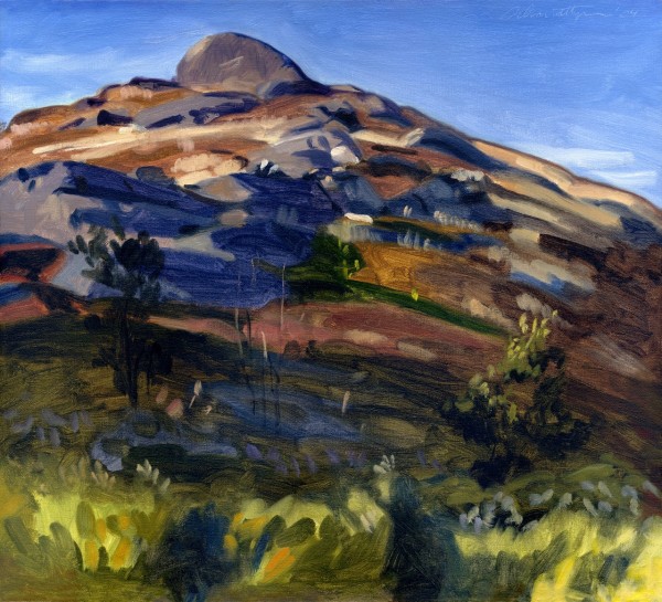 Midcoast Blueberry Barren by John Schmidtberger