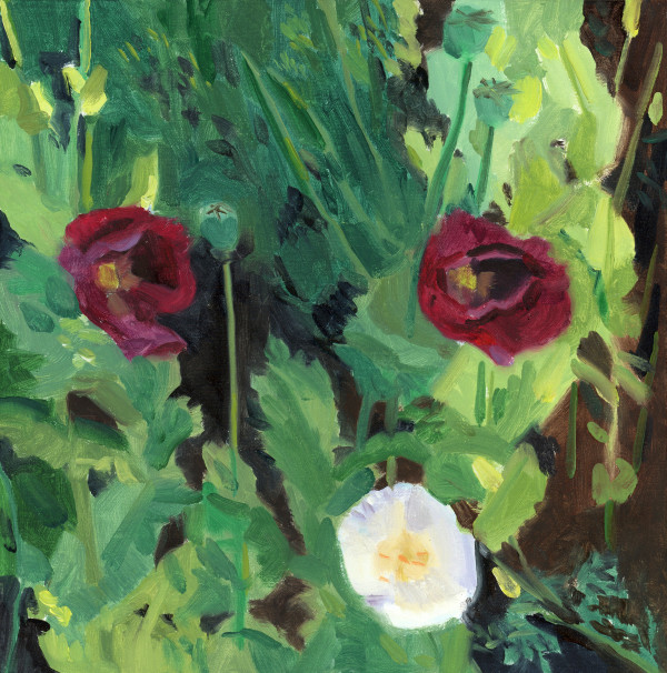 Community Garden Poppies 2 by John Schmidtberger