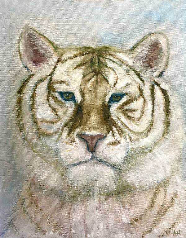 The White Tiger by Amelie Hubert