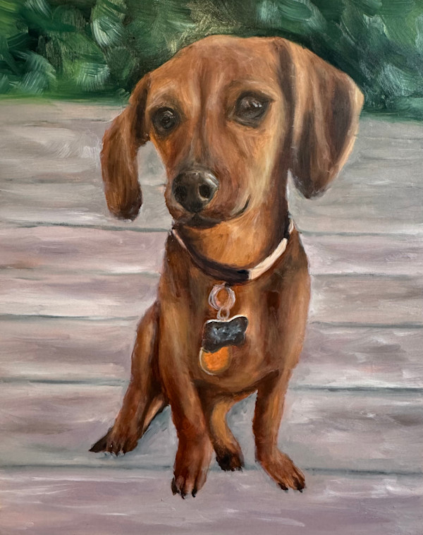 Neysa pet portrait III by Amelie Hubert, Image 1.