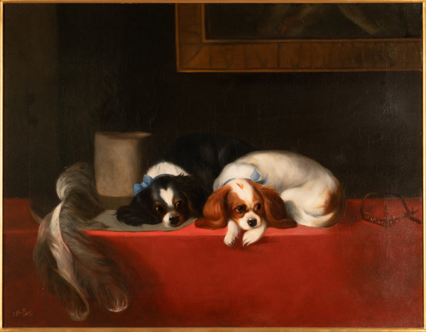 English King Spaniel Pups by John Scott