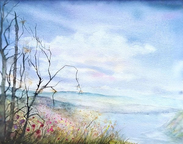 Highland Bloom: Spring’s Awakening by Amalia Yosefa
