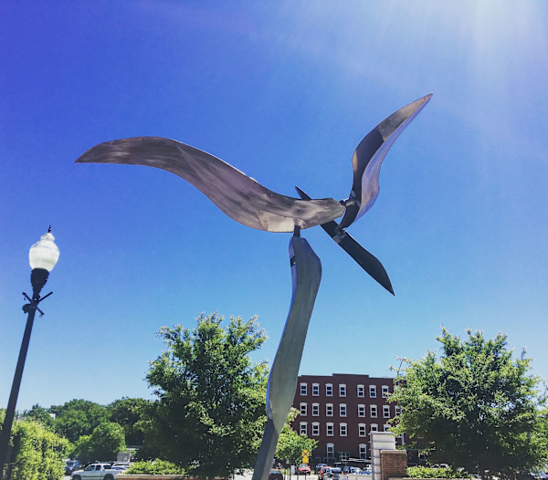Birds- HISTORIC by Richard Whitehill