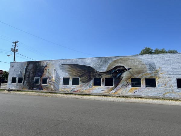 Nightingale by Jon Murrill, Thiago Valdi