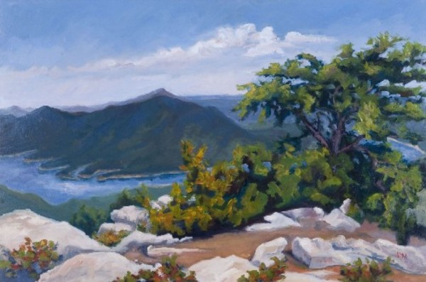 Tinker View of Carvins Cove by Nan Mahone Wellborn