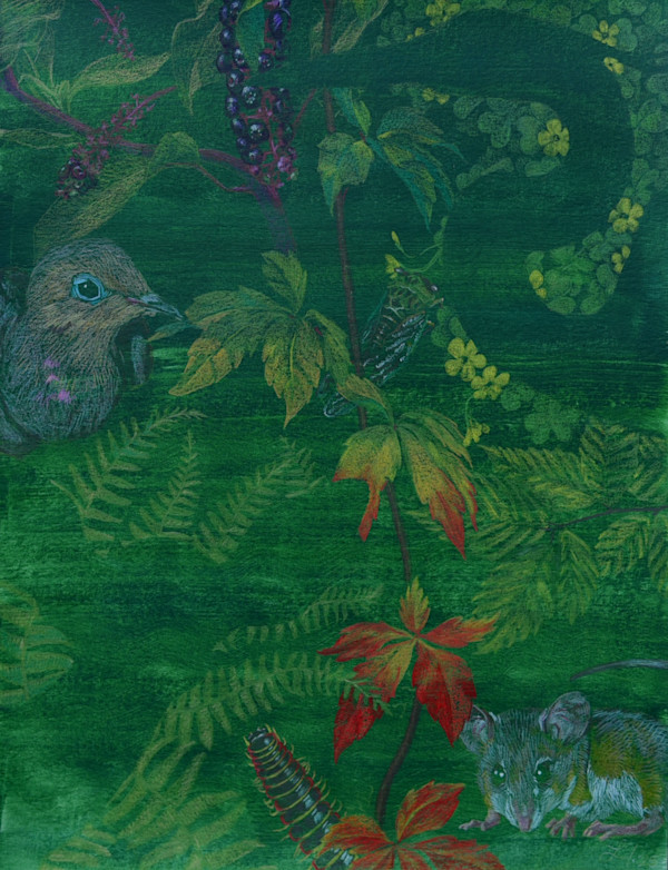 alive on the intricate earth by Laura Ilawan