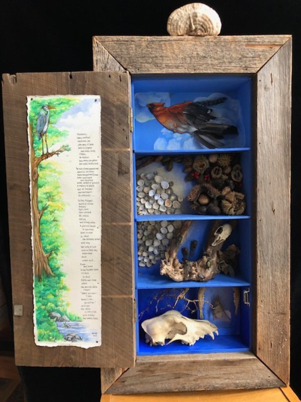 Tinker Creek Wunderkammer by Joe Lee