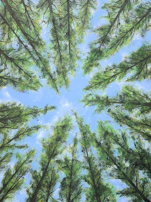 Reach by Dan Kuehl