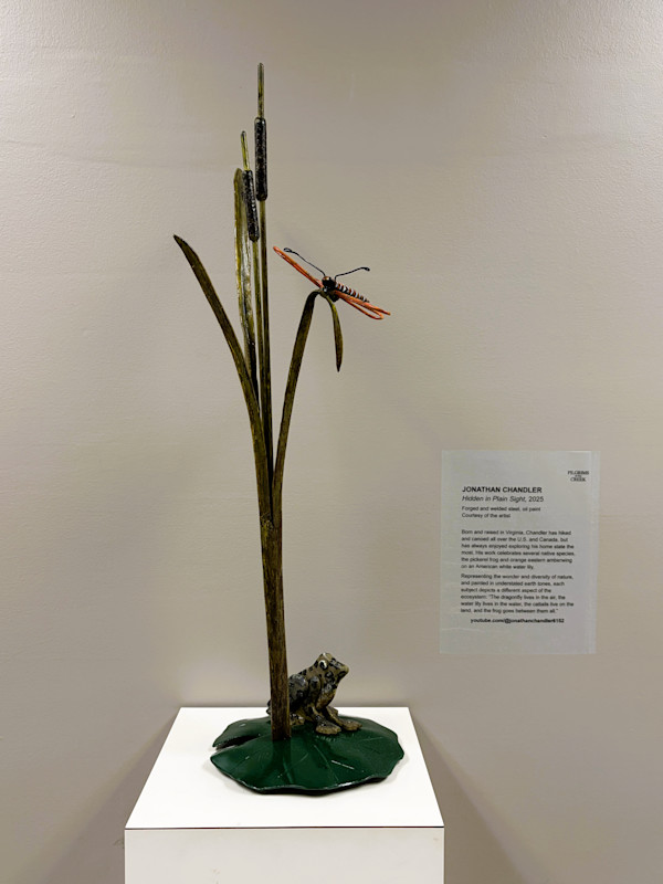 Hidden in Plain Sight by Jonathan Chandler