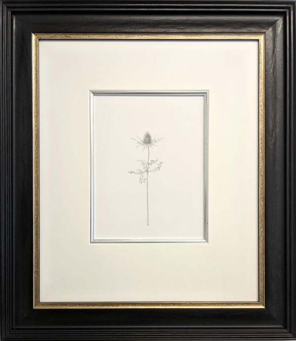 Decay xix ~ The Eryngium by Louisa Crispin, Image 1.