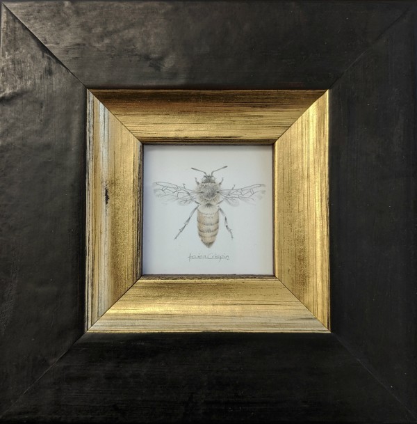 Individual Honey Bees by Louisa Crispin