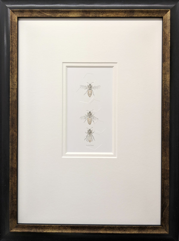 Honey Bee 3.12e by Louisa Crispin
