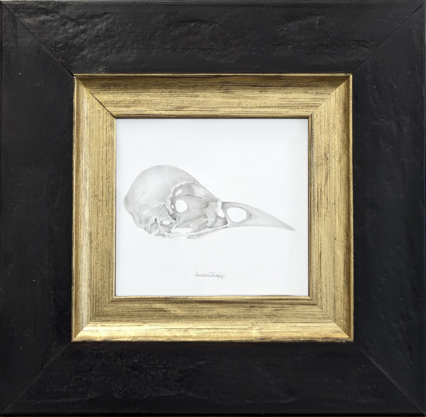 Bird Skull (Jackdaw) by Louisa Crispin