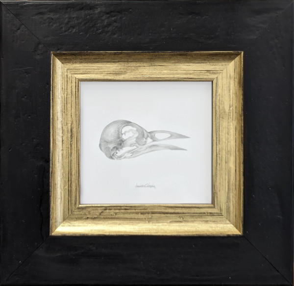 Bird Skull (Robin) by Louisa Crispin