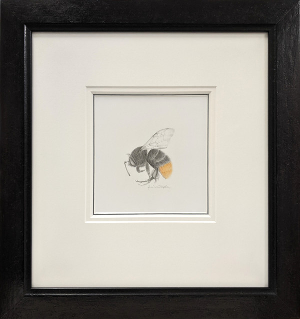 BumbleBee xii by Louisa Crispin