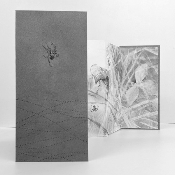 Field Notes 007 ~ Garden Spider (artist book) by Louisa Crispin