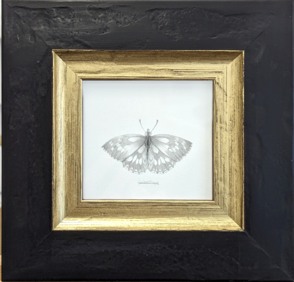 Marbled White MW002 by Louisa Crispin