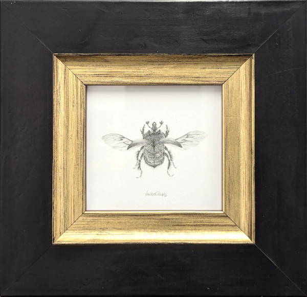 Minotaur Beetle MB003 by Louisa Crispin