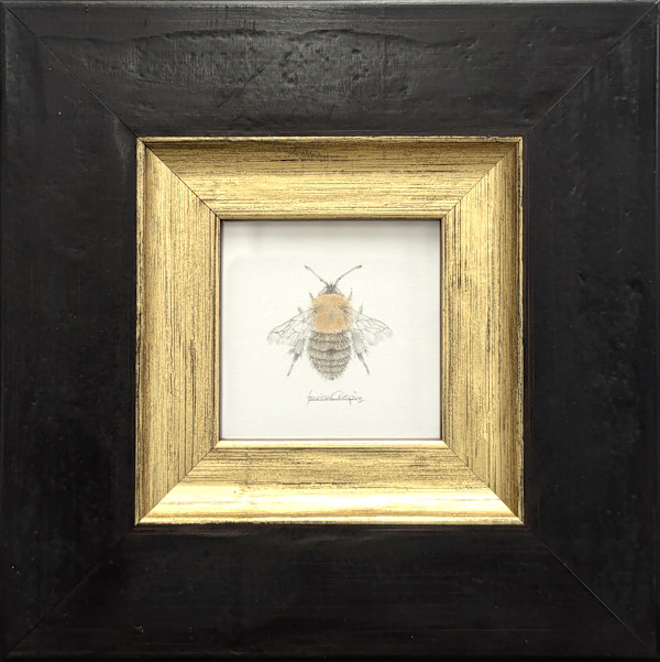 Nimble Bee collection for Chelsea by Louisa Crispin, Image 1.