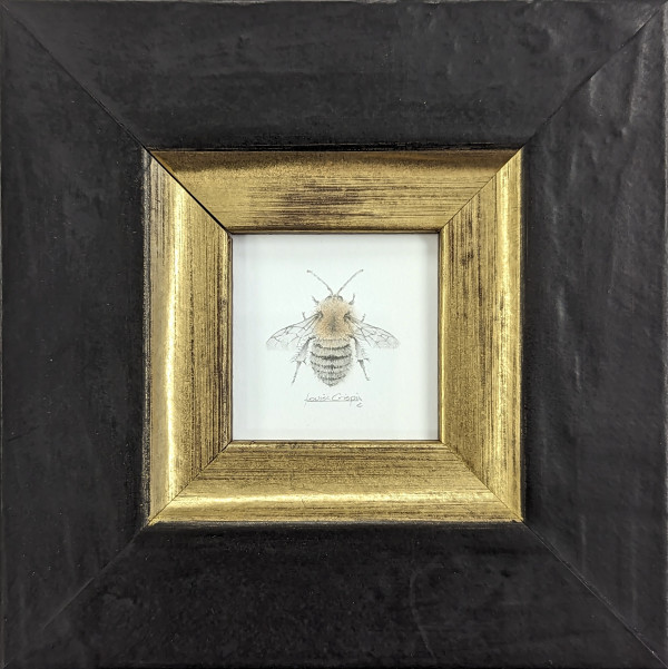 Nimble Bee NB002 by Louisa Crispin