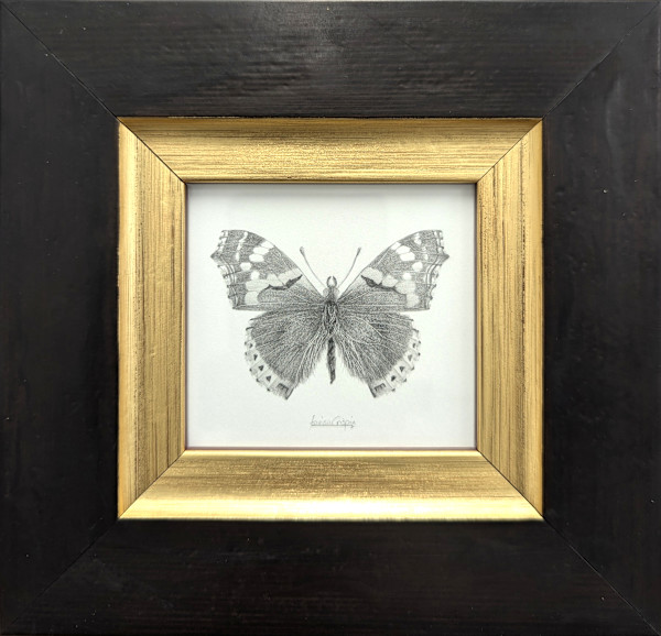 Red Admiral RA013 by Louisa Crispin