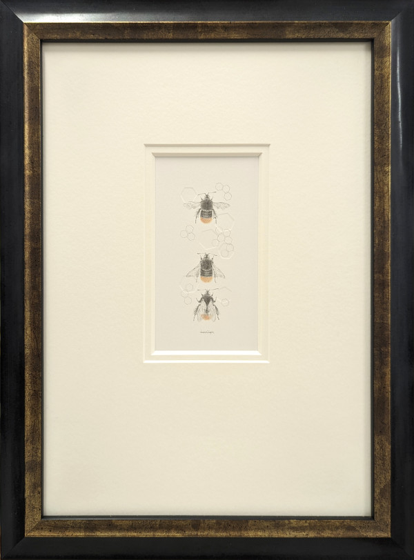 Red Tailed Bumble Bee 3.43e by Louisa Crispin
