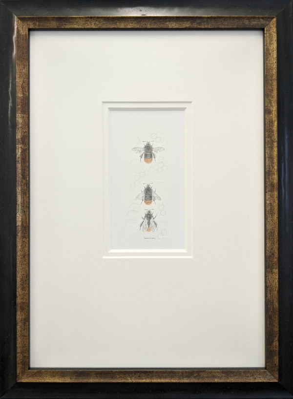 Red Tailed Bumble Bee 3.22e by Louisa Crispin