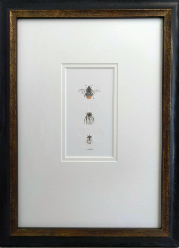 Red tailed BumbleBee 3.8e by Louisa Crispin