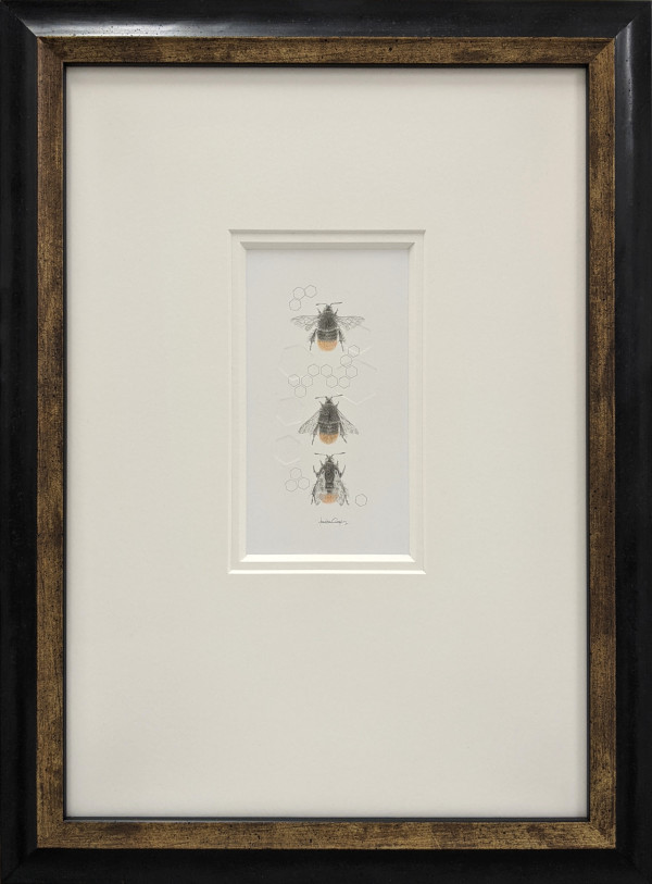 Red Tailed Bumble Bee 3.37e by Louisa Crispin