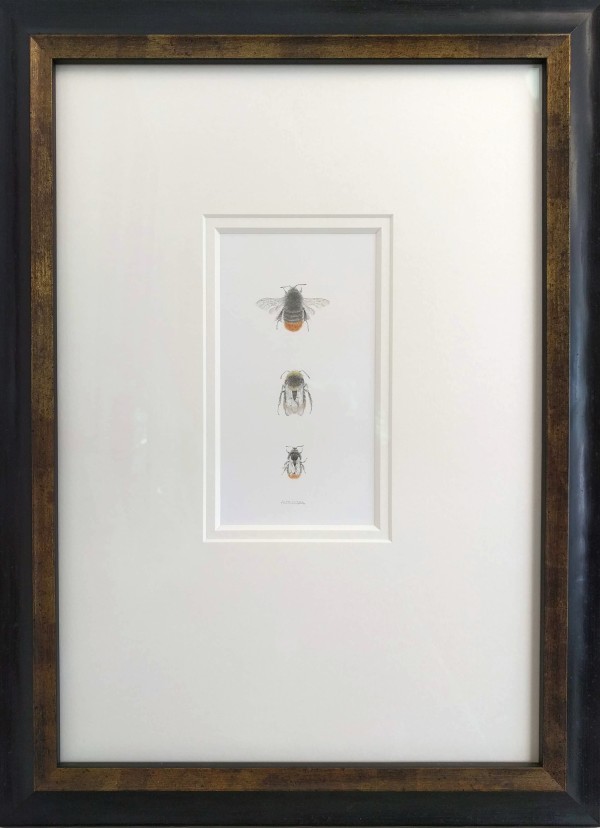 Red tailed BumbleBee 3.7 by Louisa Crispin
