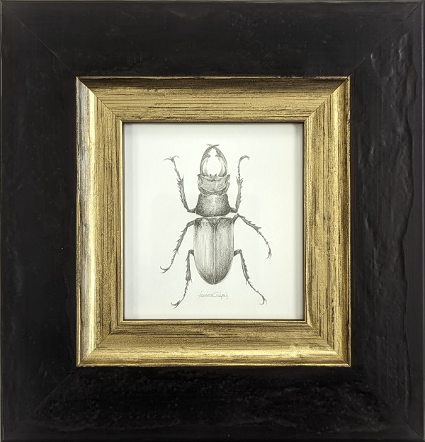 Stag Beetle SB001 by Louisa Crispin