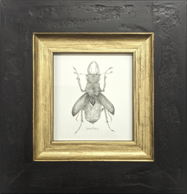 Stag Beetle SB003 by Louisa Crispin
