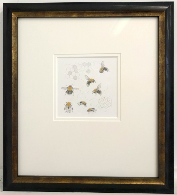 Study of a  BumbleBee 020 by Louisa Crispin