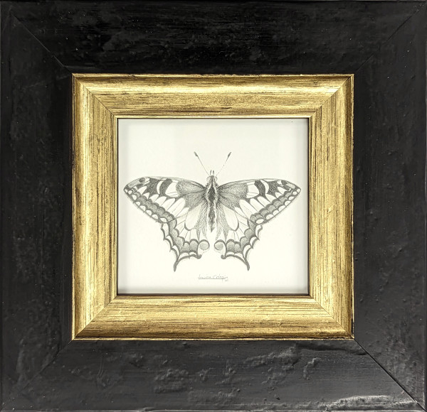 Swallowtail SWT001 by Louisa Crispin