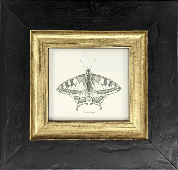 Swallowtail SWT002 by Louisa Crispin
