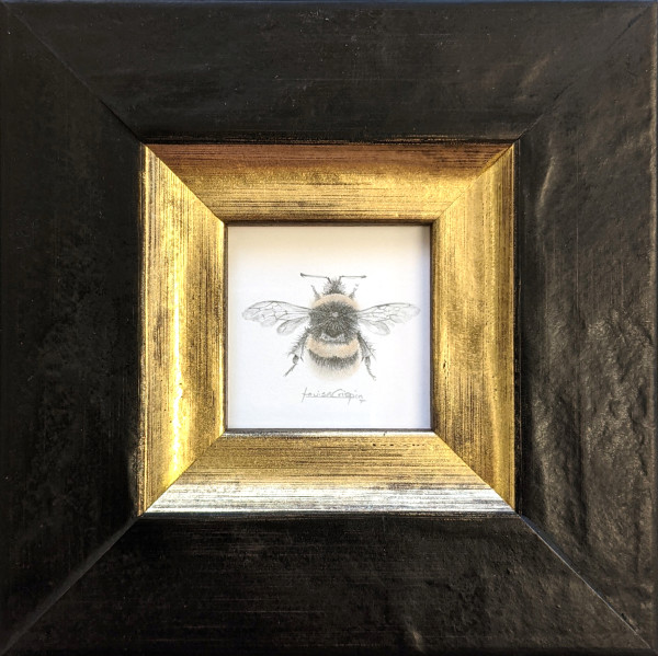 Golden Bee (var) by Louisa Crispin