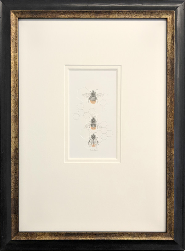 Red Tailed Bumble Bee 3.17e by Louisa Crispin